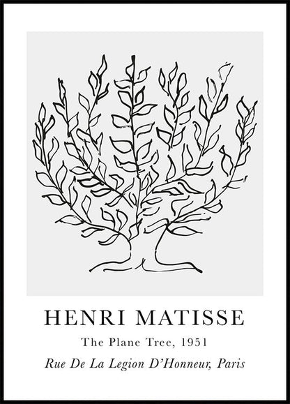 H. Matisse The Plane Tree Poster