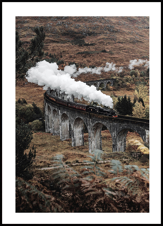 Steam Train Poster