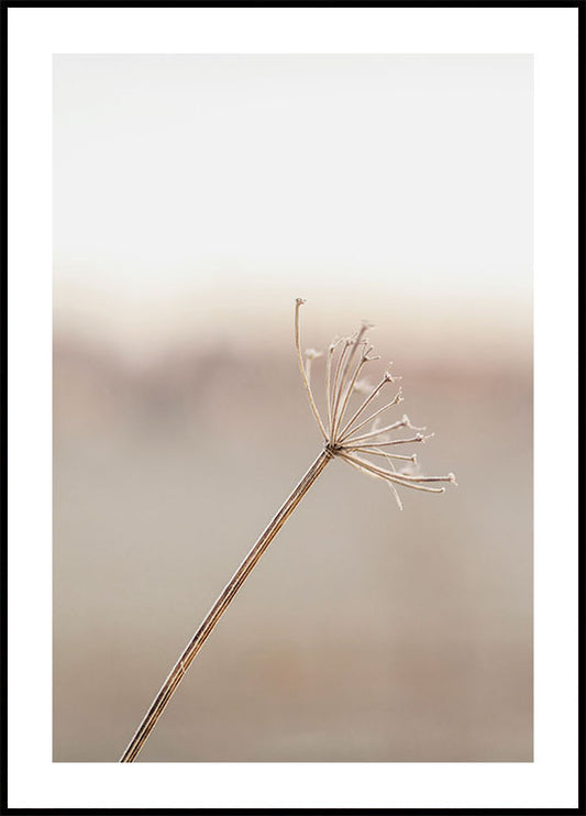 Frosted Plant Poster