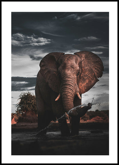 Majestic Elephant in Nature Poster