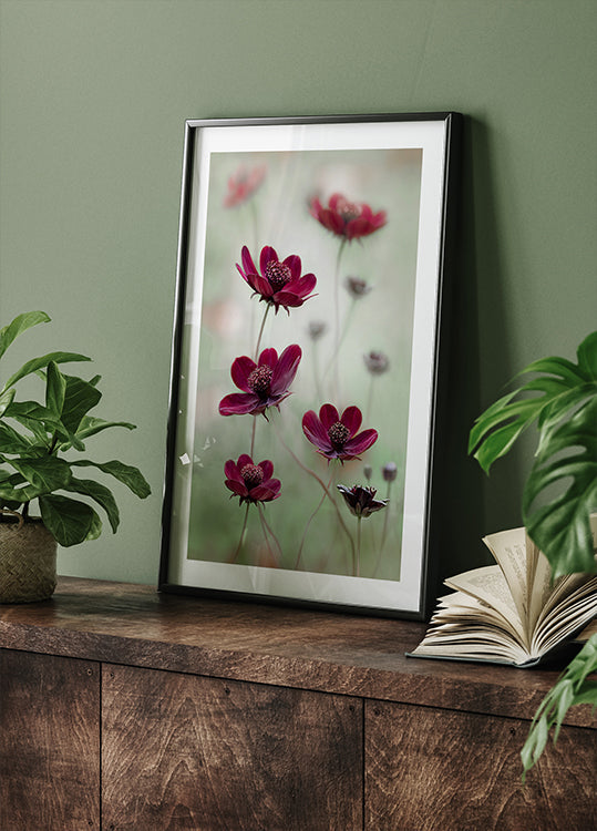Cosmos sway