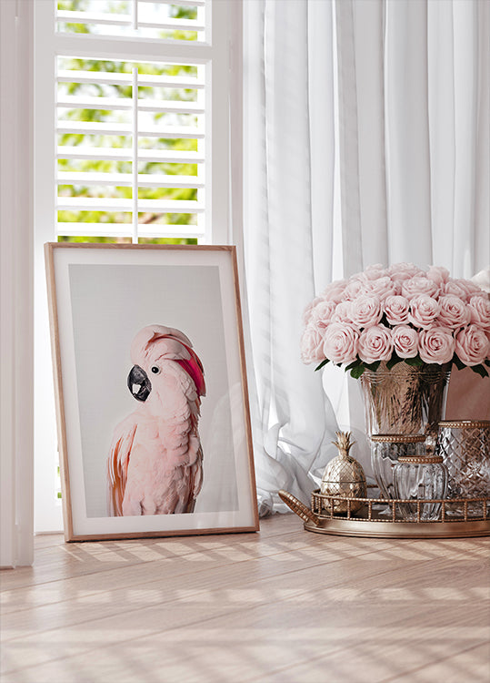 Pink Cockatoo