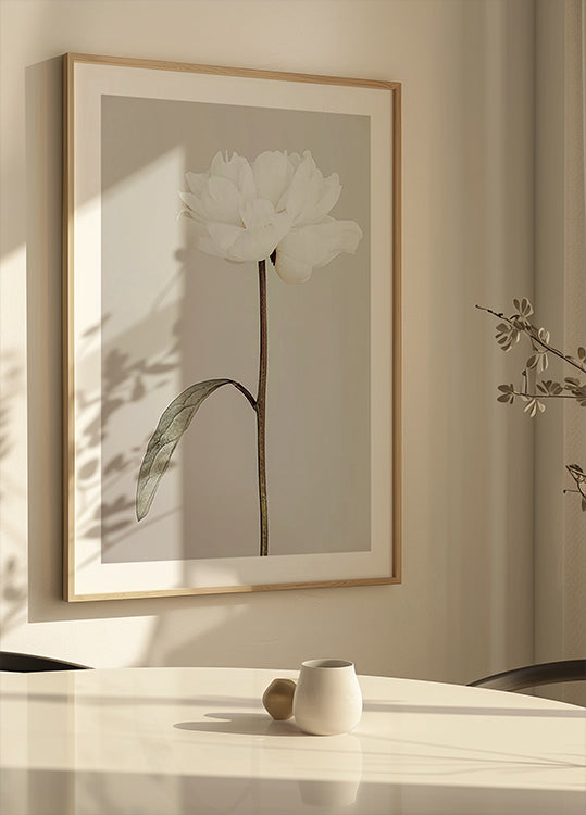 Peony 07 Poster