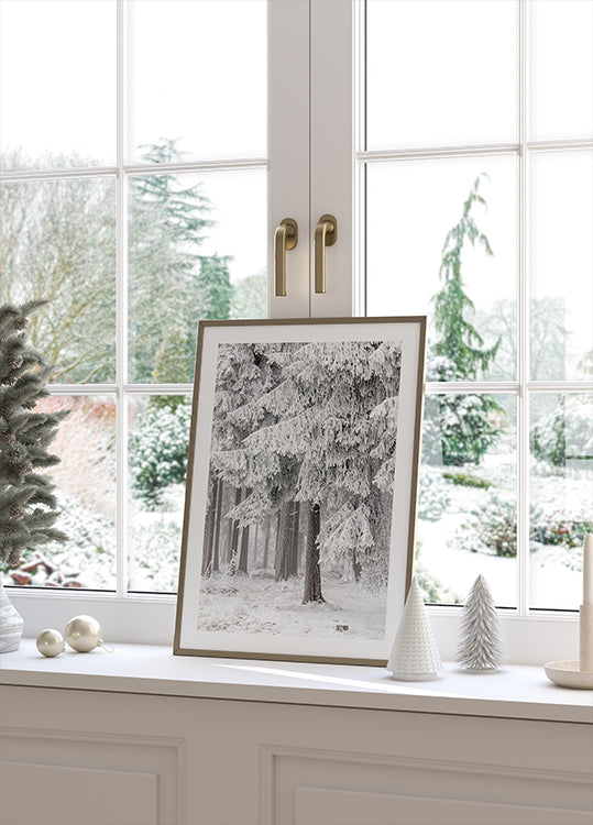 Winter Forest 2