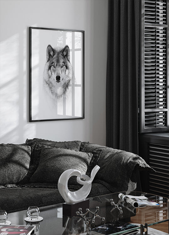 Portrait of a Timber Wolf