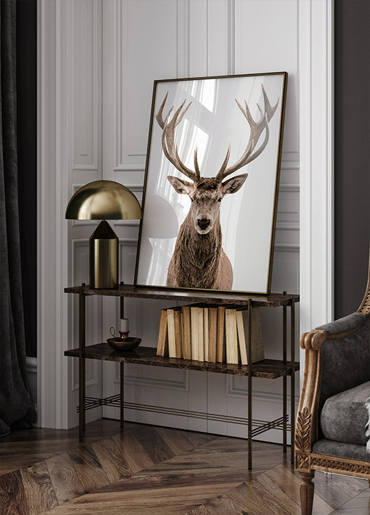 Deer Portrait Poster