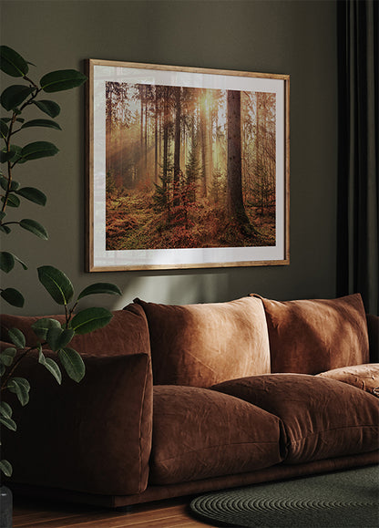 Mysterious Light of the Autumn Forest Poster