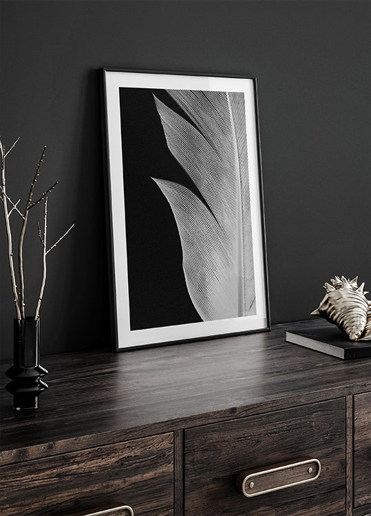 Feather No.5 Poster