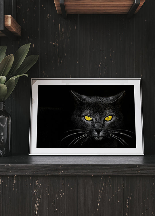 Black Cat Poster