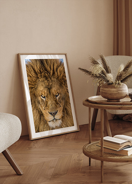 Serious Lion