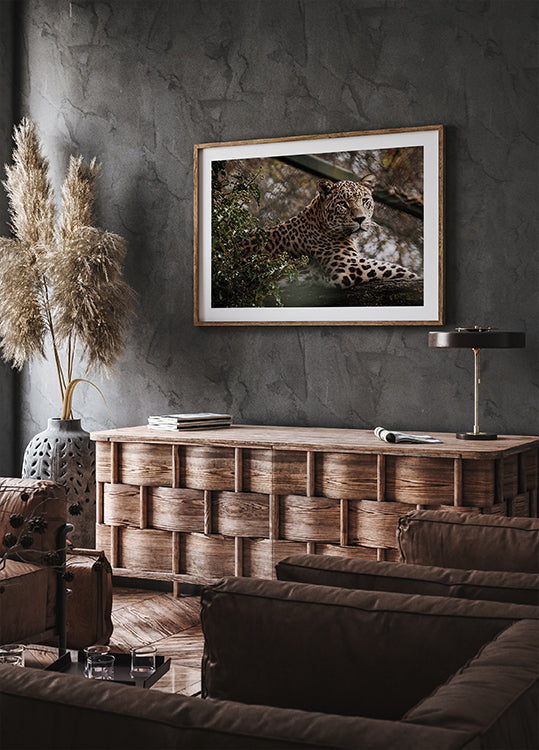 Majestic Leopard in the Wild Poster