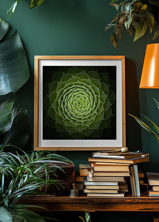 Succulent Poster
