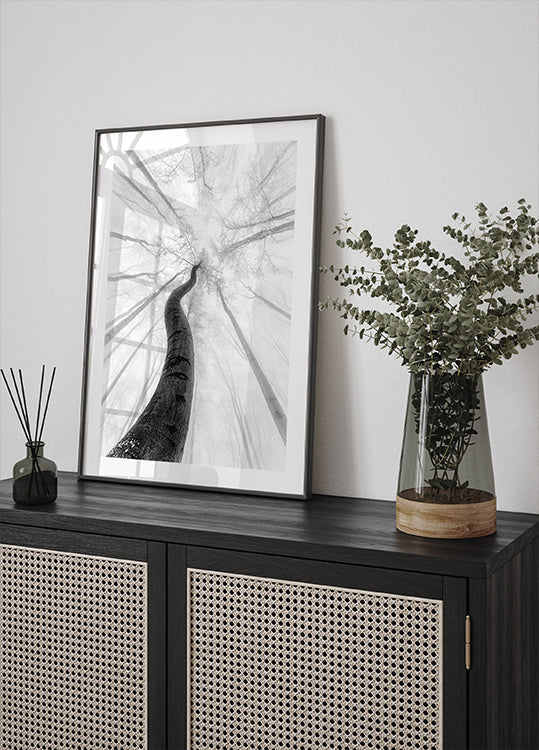 The winter Poster