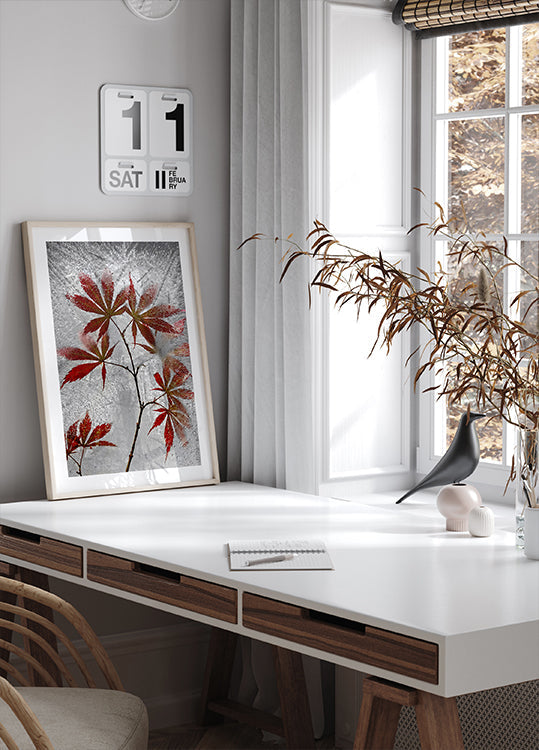 red maple