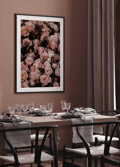 Blush Pink Roses Poster