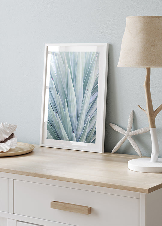 Azure Agave Dance