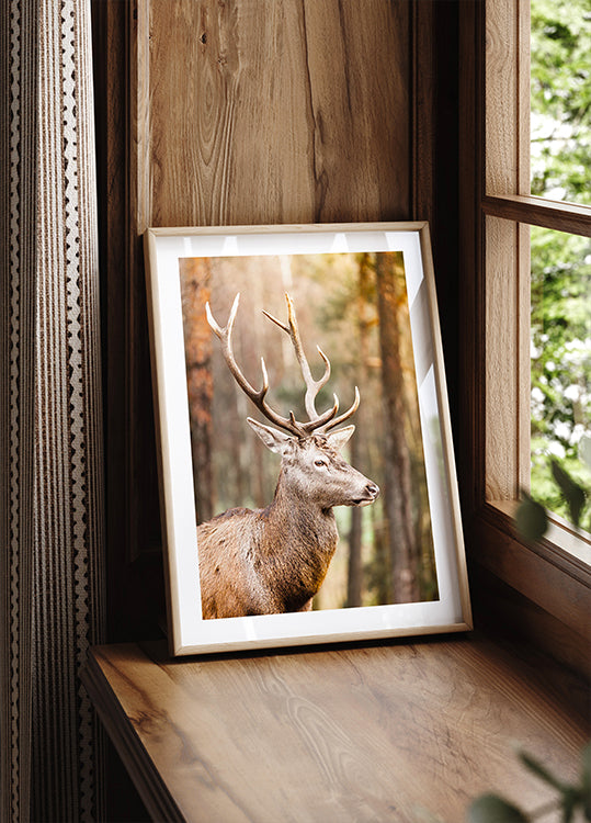 Majestic Red Deer Stag Poster