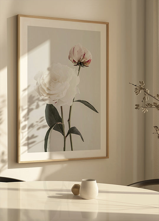 Peony 12