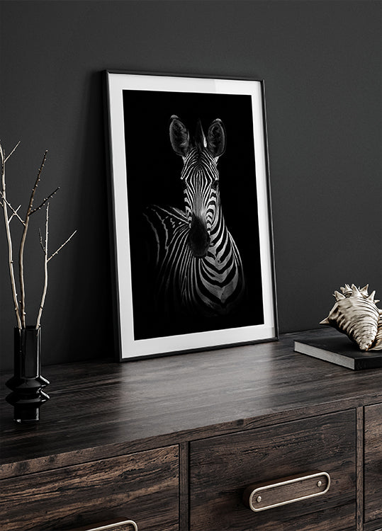 The Zebra