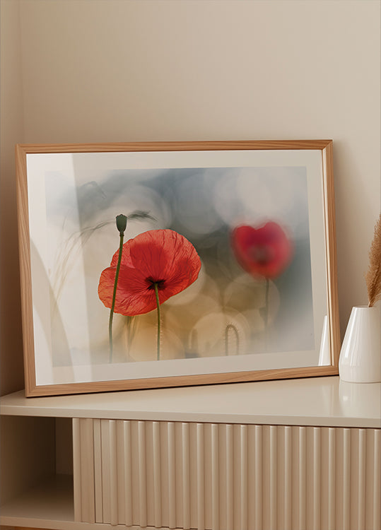 Morning Poppies
