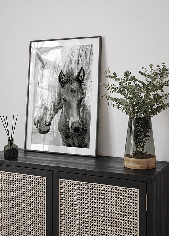 The Foal