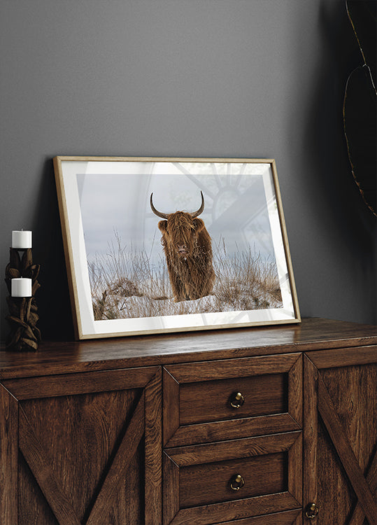 Highlander in Snow Poster