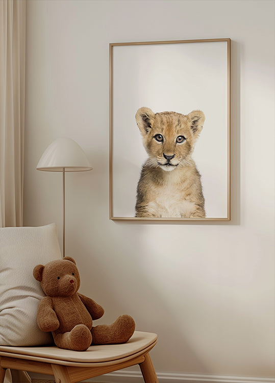 Baby Lion