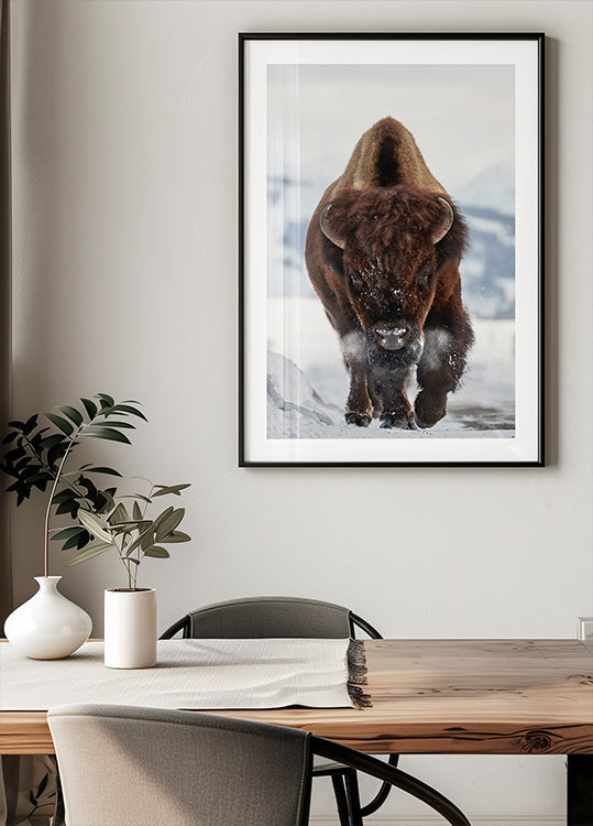 Bison Incoming  Poster