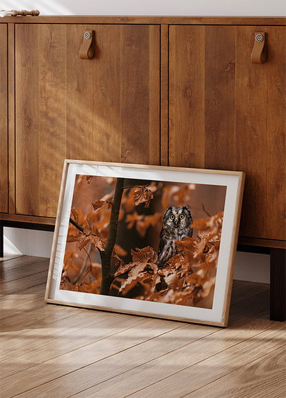 Little Owl in the Autumn Forest Poster