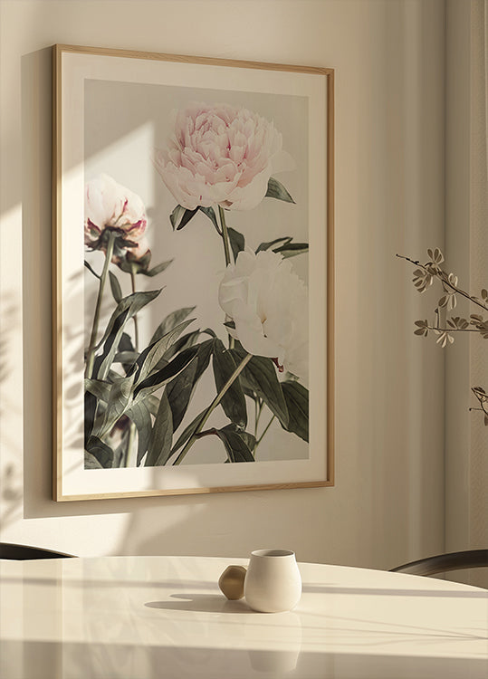 Peony 04