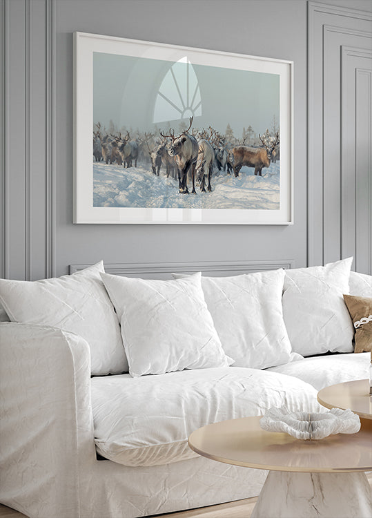 Reindeers