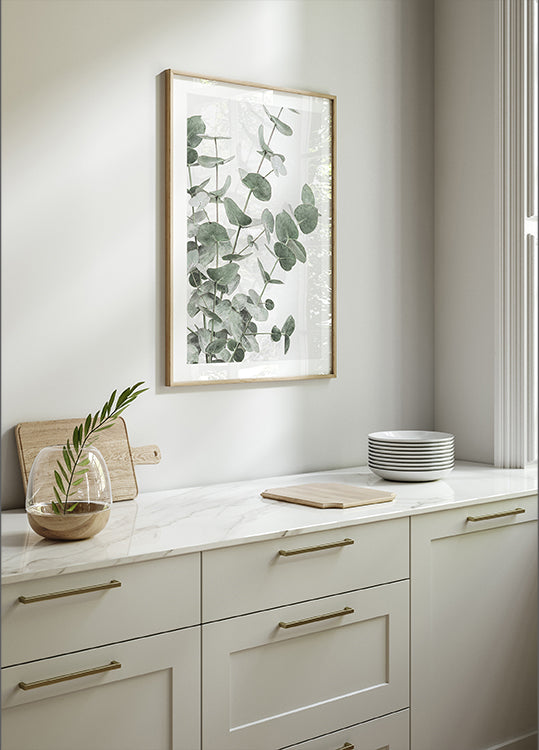 Eucalyptus No.3 Poster