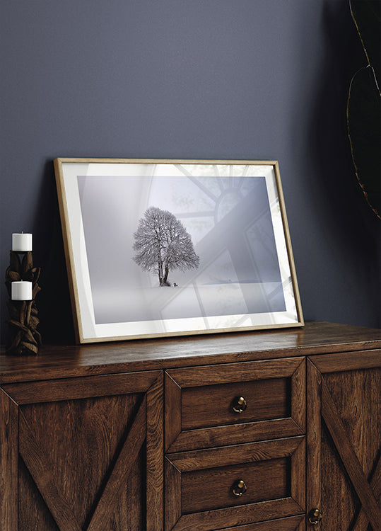 Winter light Poster