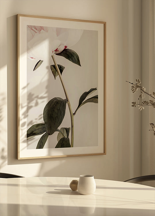 Peony 09