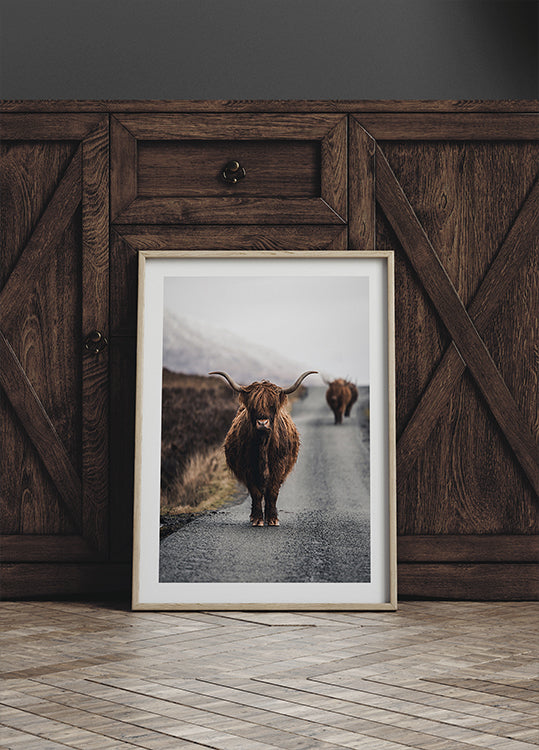 Cow Poster