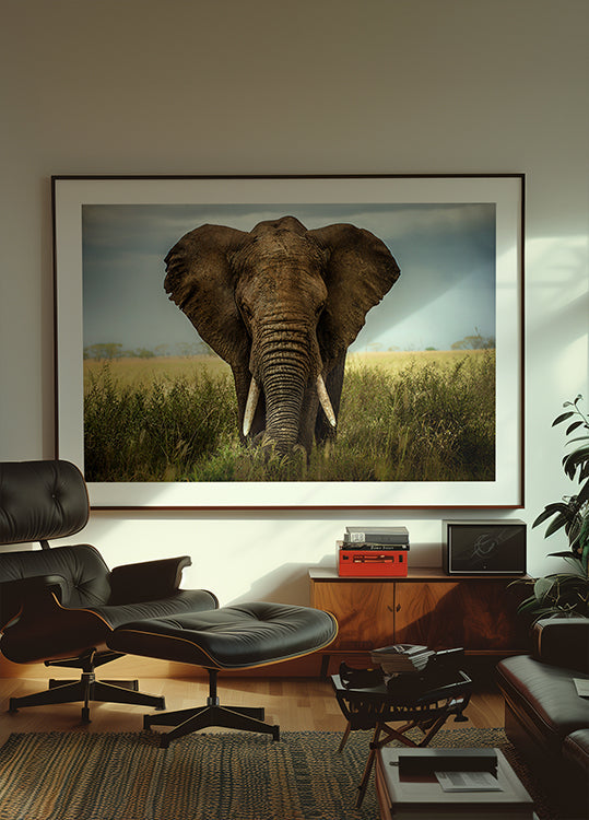Encounters in Serengeti