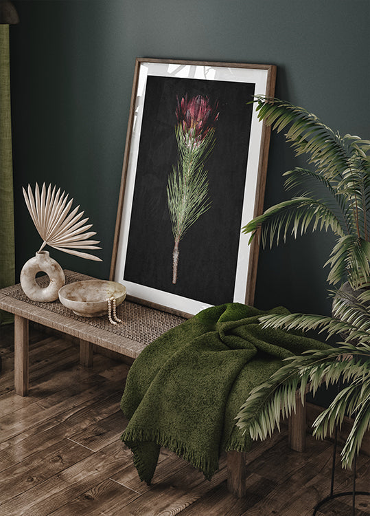 Protea Serenity