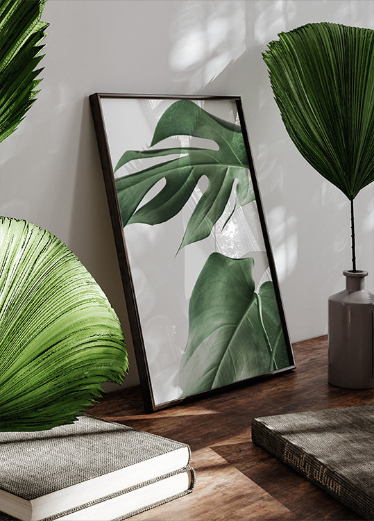 Monstera Leaves Poster