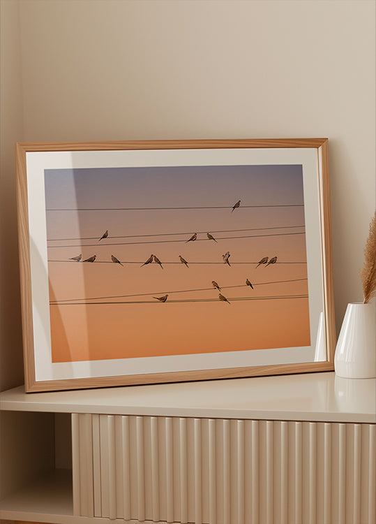 Music of Light