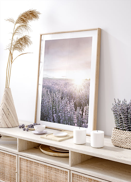 Sunset Over Lavender Fields Poster