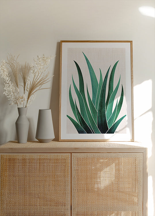 Desert Agave Cactus