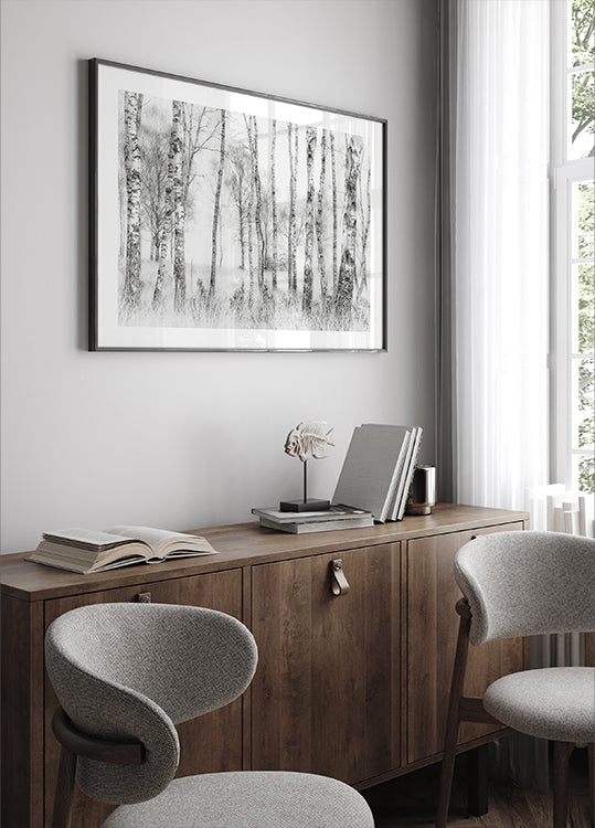 Black and White Birch Poster