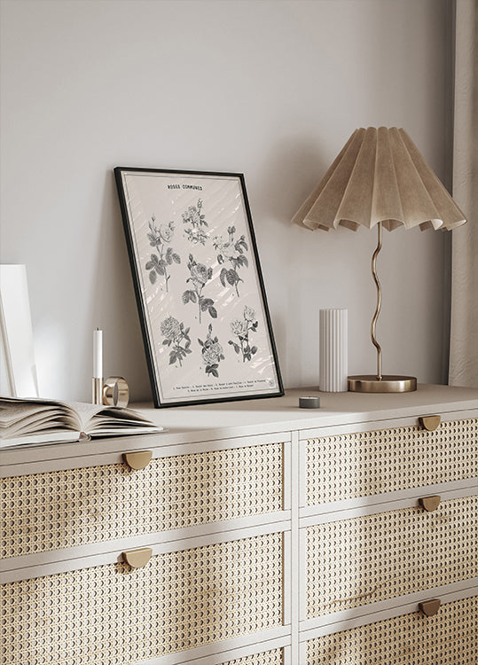 Roses Poster