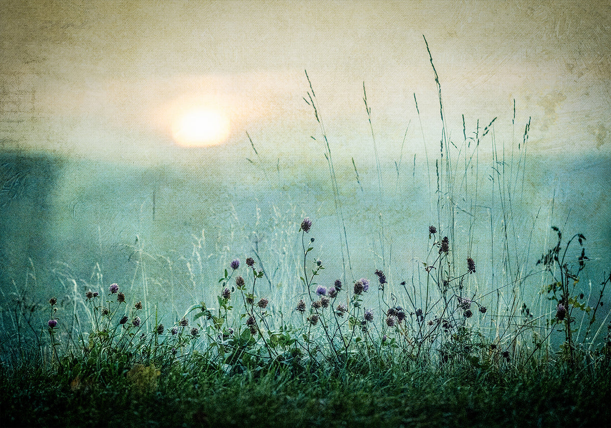 Autumn sunrise Poster