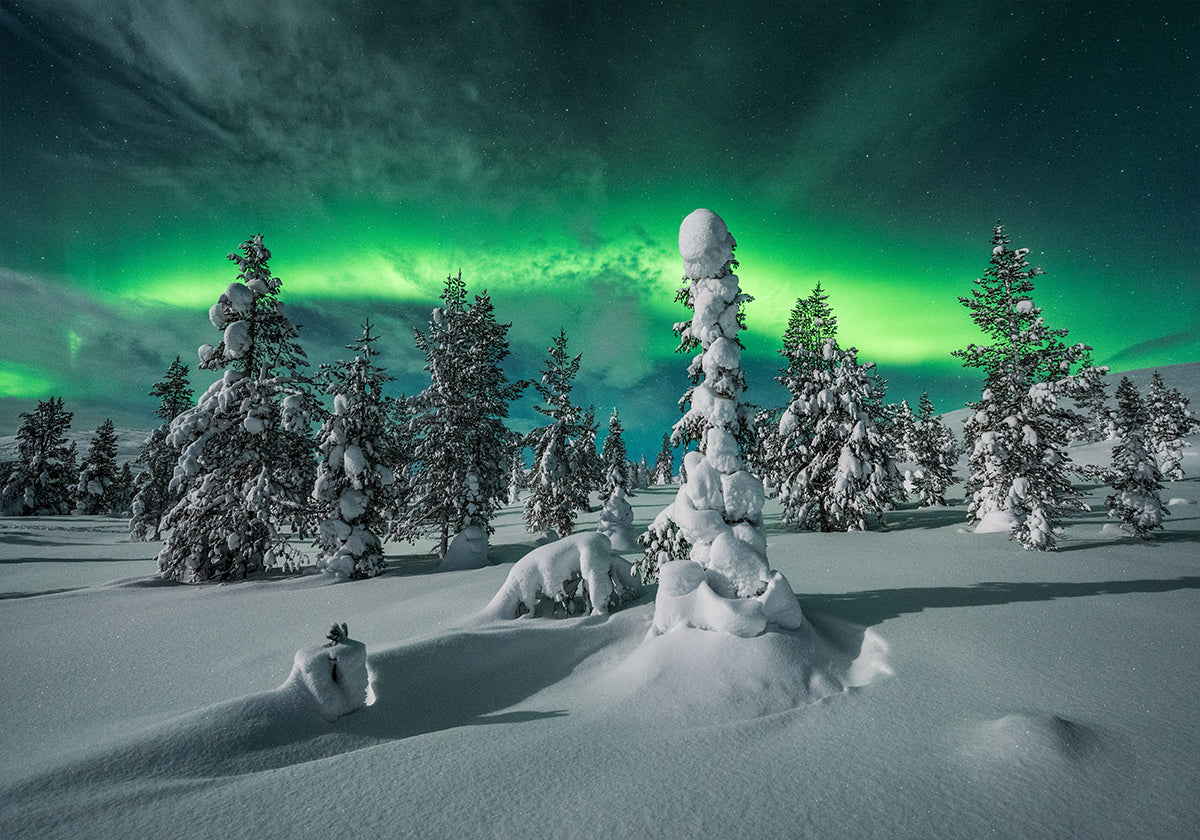 polar night Poster
