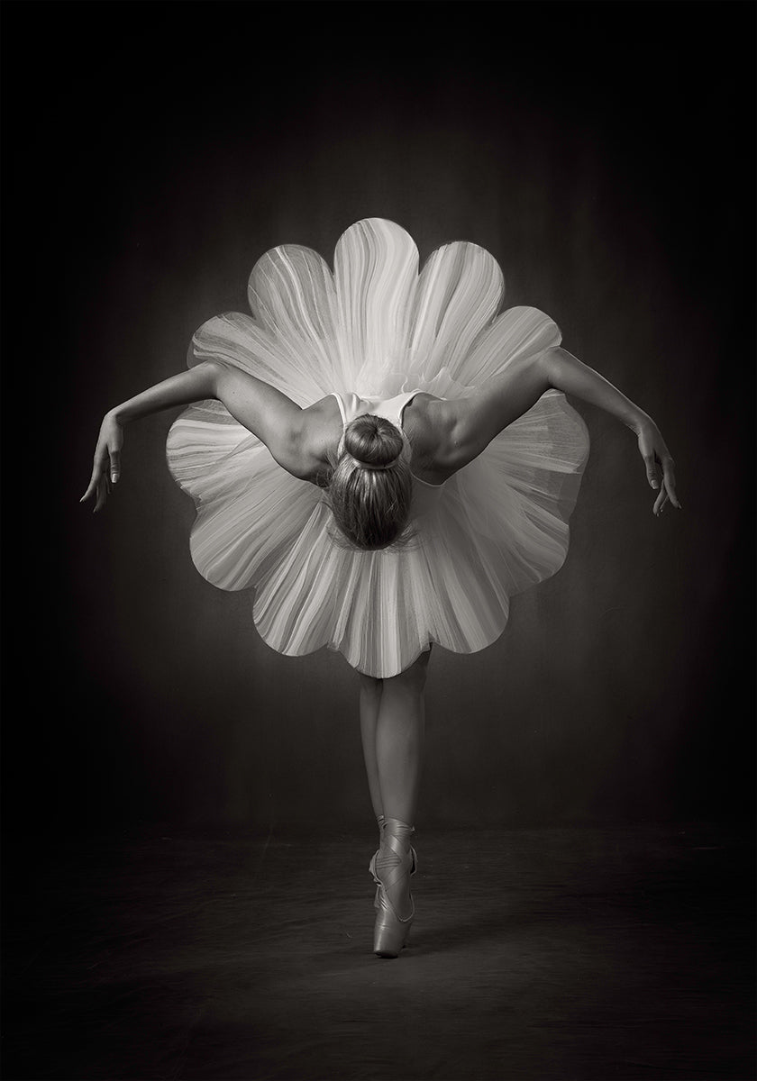 Floral Ballet Poster
