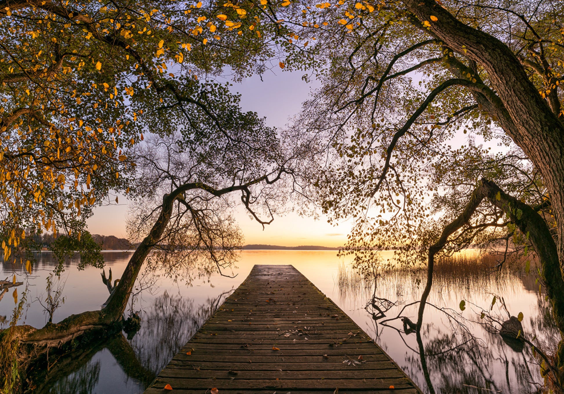 Golden Autumn Pier