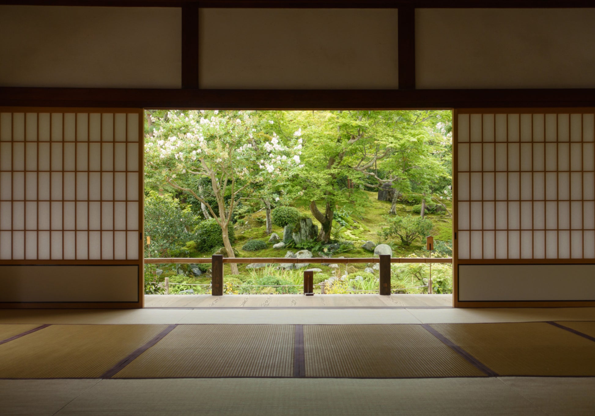 Zen Garden View