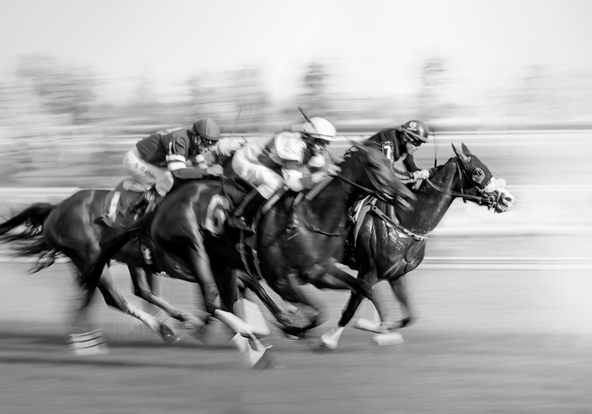 Galloping Racehorses