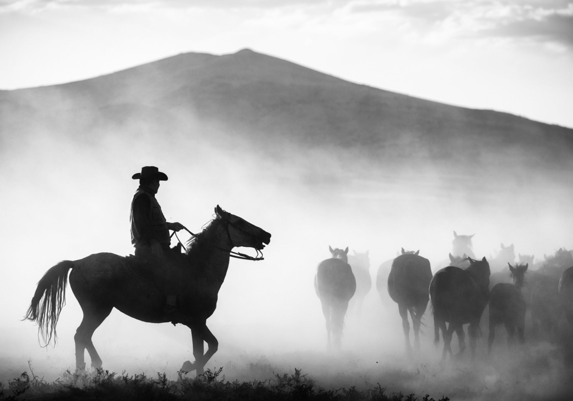 Cowboy Herding Horses
